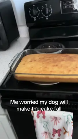 She’s just so little, what if a freak accident occurs and she does make it fall??  #yorkie #baking #dogs #silly #paranoid
