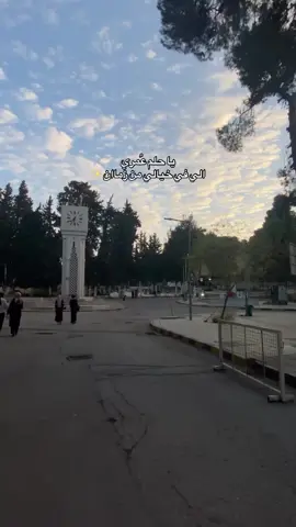 يا حلم عُمري 🥹❤️ #تخرج #حلم #الاردن #الجامعة_الاردنية #اكسبلور 