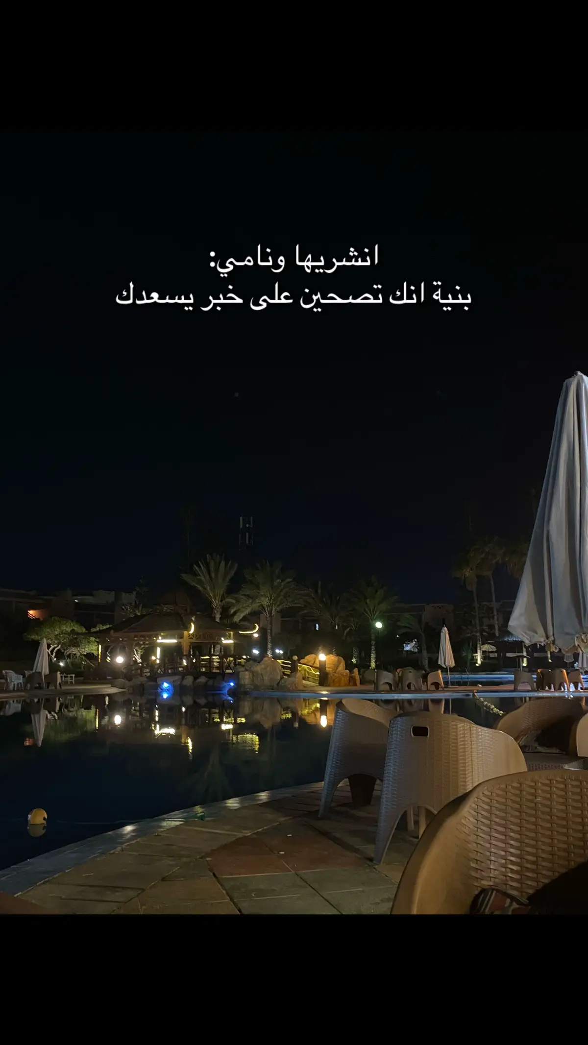#القران_الكريم 