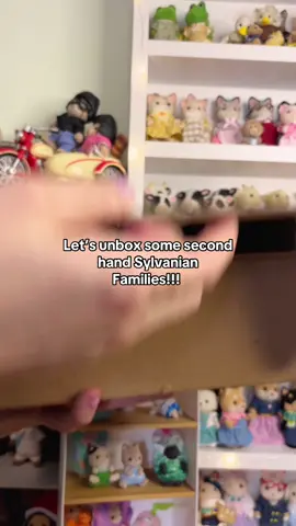 I opened this a while ago but there’s quite good loot in this one!!! #sylvanianfamilies #calicocritters #vintage #collector #collection 