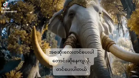 #ဆဒ္ဒန်ဆင်မင်းနှင့်စူဠသုဘဒ္ဒါ #ep1