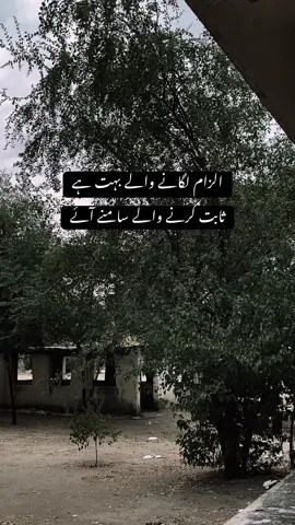 الزام لگانے والے بہت ہے ثابت کرنے والے سامنے آئے#foryou #foryourpage #viralvideo #viral #unfreezemyacount @khan✨ @saadii_sheikh @𝙎𝙃𝘼𝙈𝙐🦅 