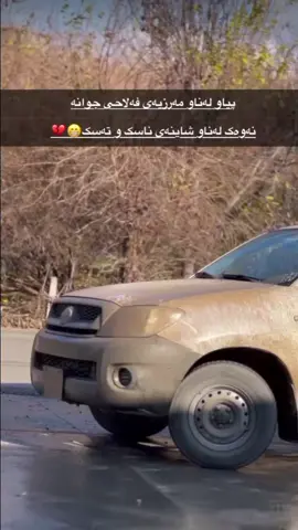 مه رزيا 2010فه لاحي