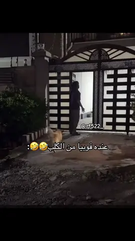 #قروب_سيف_ال_عمار #سيف_ال_عمار #الخرج #رياكشن #اكسبلور @سيف ال عمار @ابو مطرف 🌚💙 