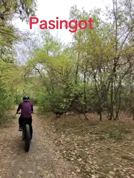 #Bisdak #Bike 
