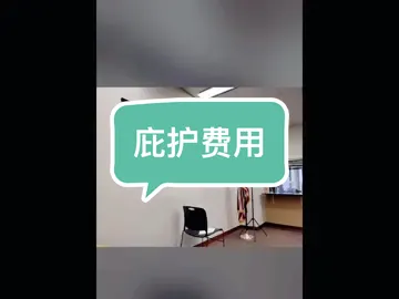 庇护申请费、年费。#秦苏珊律师事务所 #虎哥 