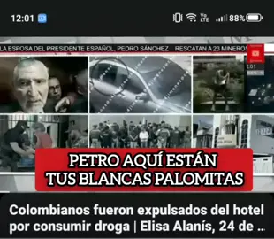 #BKING #REGGIO #COLOMBIANOS #ADICTOS EN #MEXICO🇲🇽  PETRO TUS JÓVENES NO ERAN BLANCAS PALOMITAS  @Gustavo Petro Oficial 