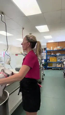 Today is bargain box day! Pick up 4 doughnuts for $10 and lots of other bargains instore! #bargain #sale #cheap 