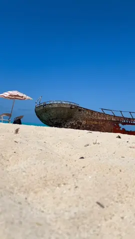 #egypt #fybシviral #trending #foryou #اكسبلورexplore 