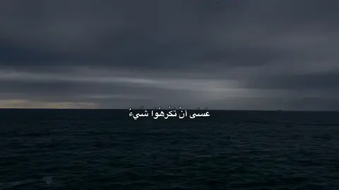 ﴿وعسى ان تكرهوا شيئا وهو خيرا لكم﴾ #احمد_الوائلي #شيعة_علي_الكرار #تصميمي #لايك_متابعه_اكسبلور #صعدو_الفيديو 