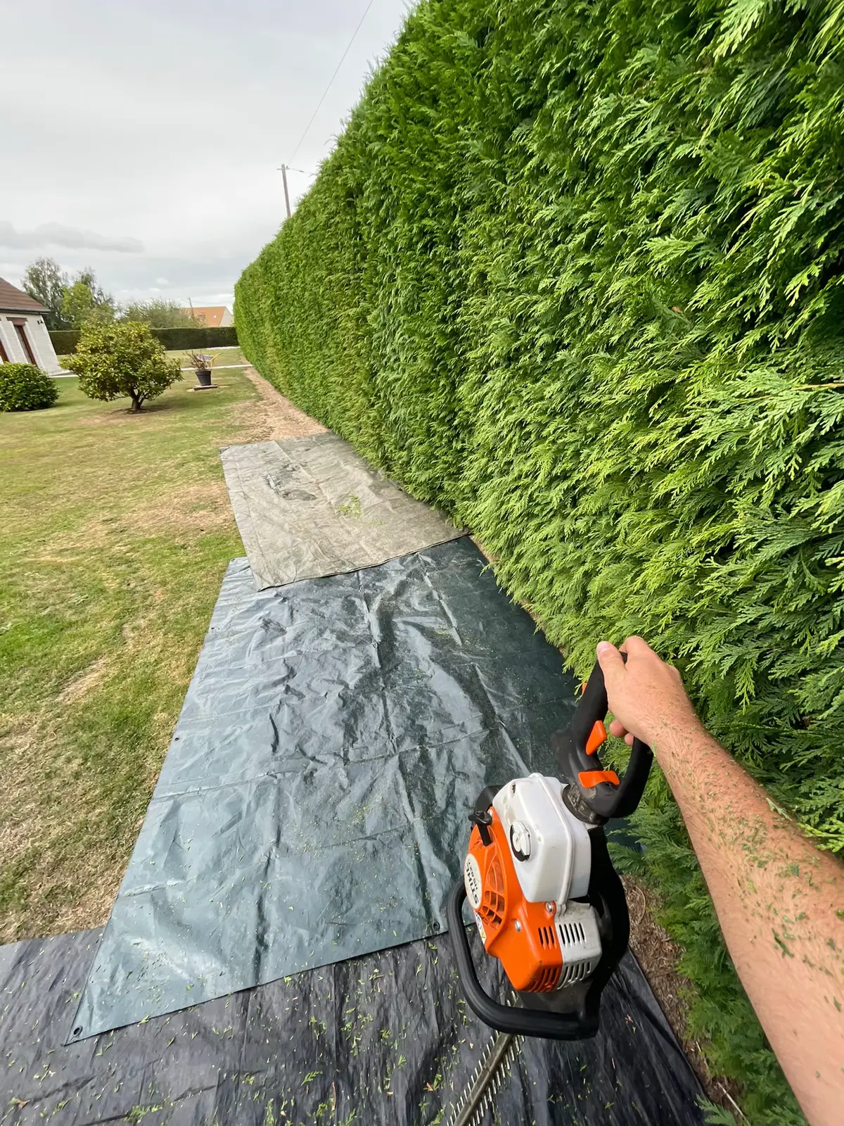 #lesbuchvertes💚 #haie #espacevert #paysagiste #fyp 