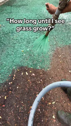 🛑 STOP using SOD!! Hydroseeding is much cheaper than sod and actually provides better longer lasting results! You should start to see grass grow within a week 💚 Fall is a great time to have your yard hydroseeded! Lots of sun and rain 🌧️  #lawn #grass #satisfyingvideos #lawntok #fyp 