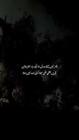 #FYP #ForYouPage #UrduPoetry #Poetry #EmotionalQuotes 