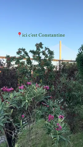 📍Constantine  . . . #algeria #constantine #fyp #بيطا #cnz 