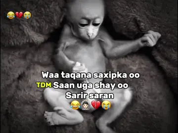 Biya haneh qawob aye iga noqdeen 😭😂