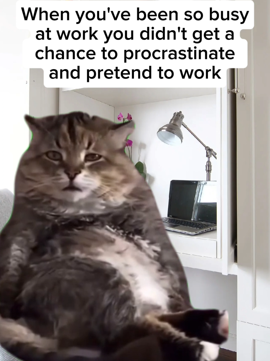 Tips to manage tasks at work: 1. Prioritize wisely – Focus on tasks that are both urgent and important first. 2. Break big tasks – Divide large projects into smaller, manageable steps. 3. Work with focus – Limit distractions and avoid multitasking to stay efficient. 4. Review daily – Reflect on progress and plan the next day to stay on track. #meme #worklife #office #officelife #work 