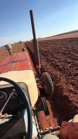 #الطلحية #الأجز 