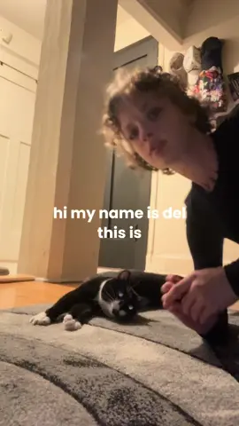 i interviewed my cat