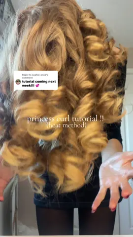 Replying to @sophie-anne Princess Curls tutorial!!!! Ignore my face in these clips pls and thanks 🙏 #fyp #blowout #tutorial #hair #princesscurls 