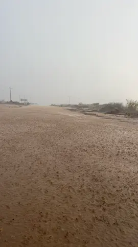 امطار وخير حرت مدركه#الامطار_والاجواء_الجميله 