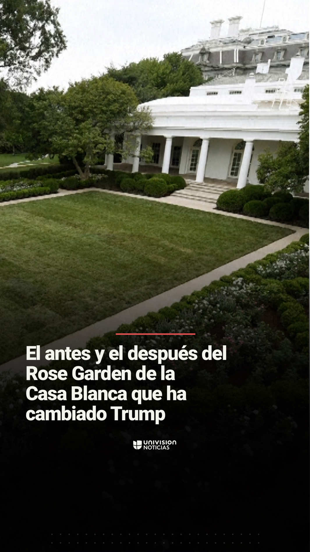 📌 🇺🇸 Este es el antes y el después del Rose Garden de la Casa Blanca que ha cambiado Donald Trump. El presidente Trump ha ordenado algunos cambios en la residencia presidencial que asemejan a Mar-a-Lago, su resort en Florida. No solo convirtió el Rose Garden en un patio para eventos con sus aliados políticos, también añadió detalles dorados a la Oficina Oval. #CasaBlanca #RoseGarden #Trump #DonaldTrump #Uninoticias 
