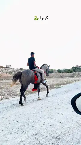 #اكسبلورexplore #اذكروالله_ماشاء_الله #رهط_تل_اسبع_اشقيب_عرعره_حوره_هداج__ 