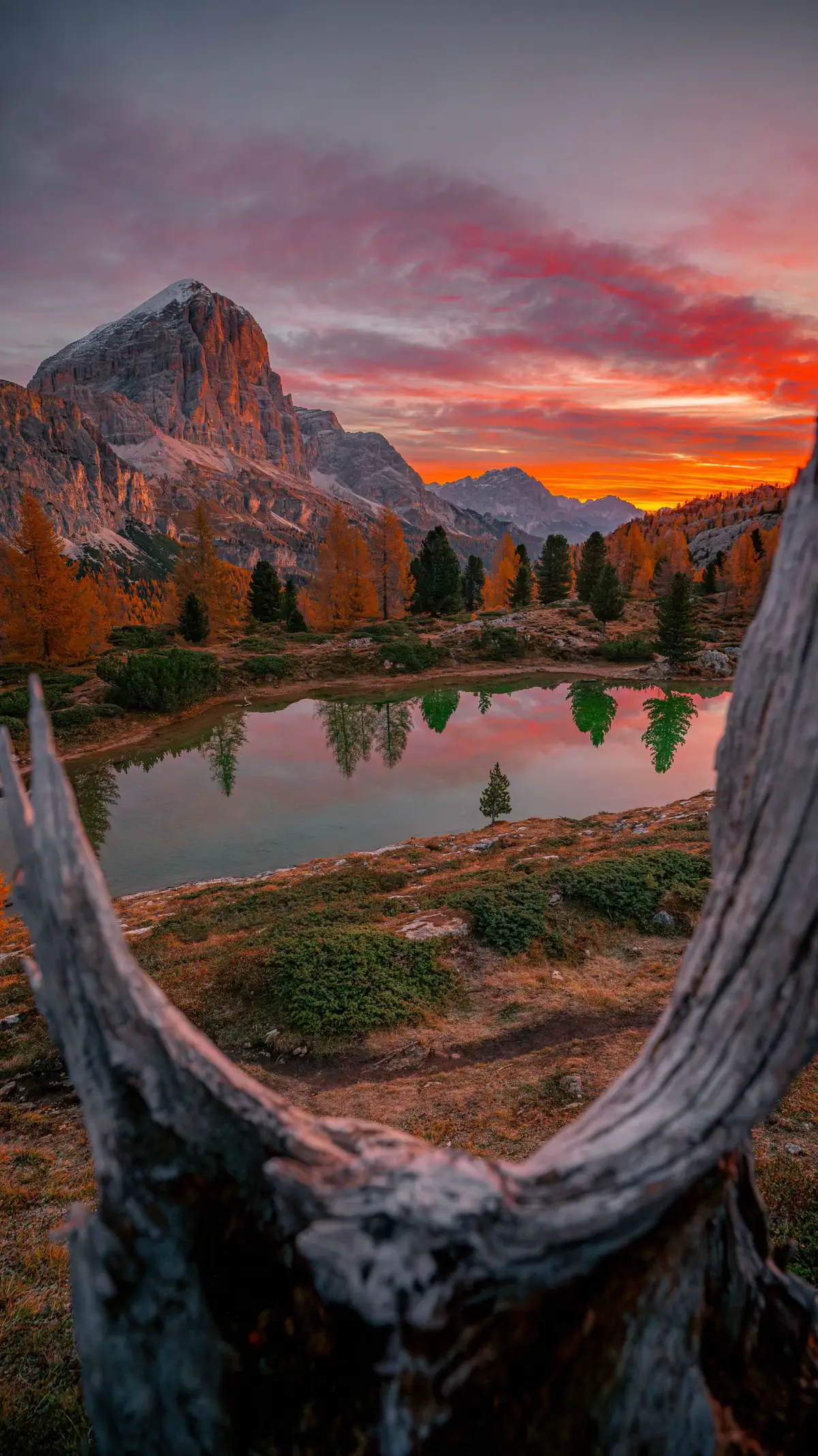 Dreaming about the Dolomites in the Autumn #nature #dolomites #dolomiti #mountains #autumn
