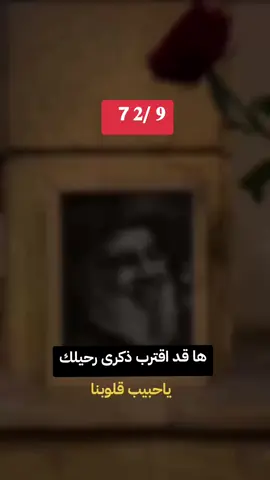 #لبنان #مشاهير_تيك_توك #مشاهدات 