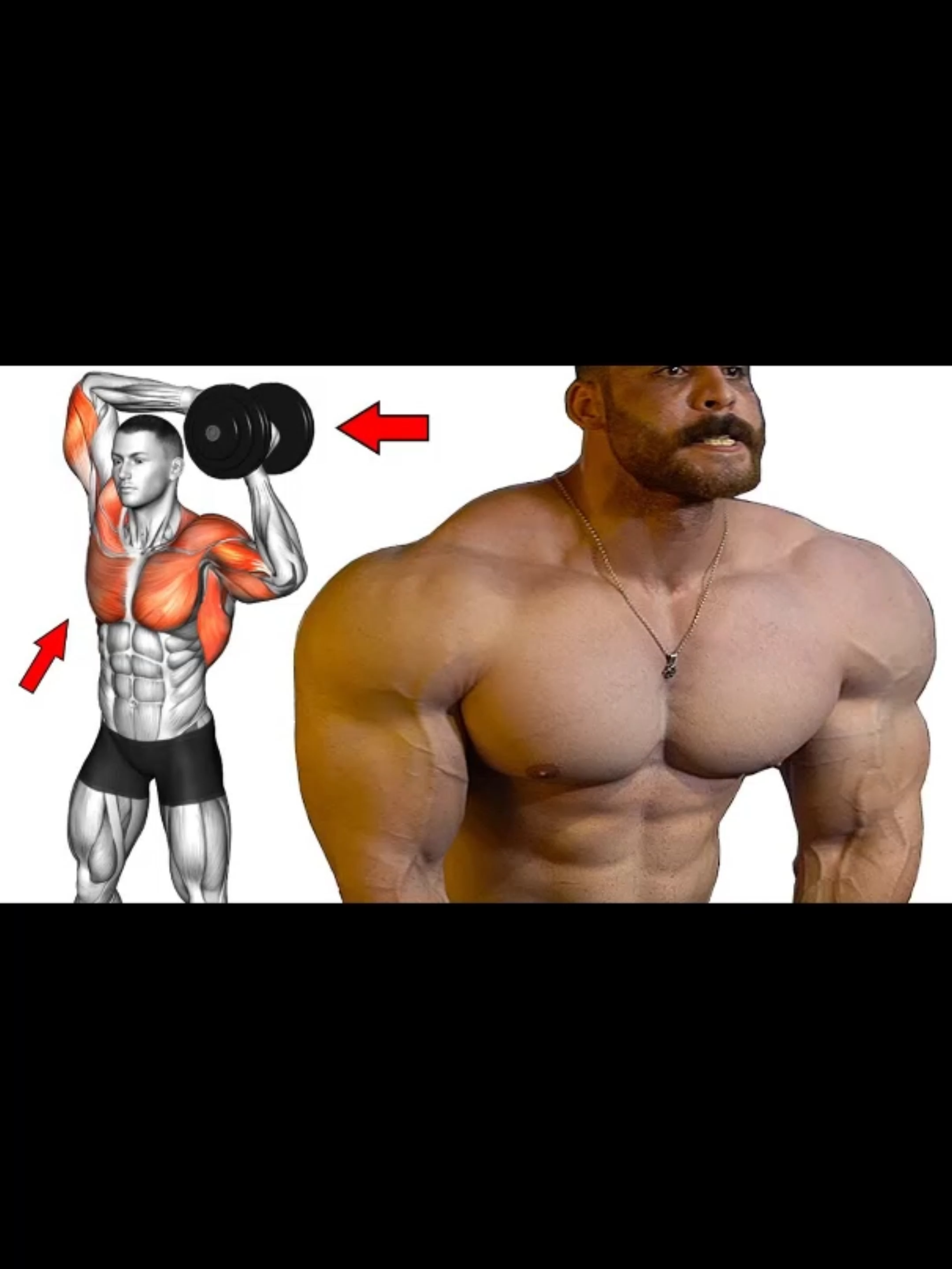 Best 5 Upper Body Exercises At Home With Dumbbells 💪 Very effective #muscle #exercise #Fitness #workout #gym #fitnesstips #workoutmotivation #UpperBody #upperbodyworkouts