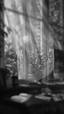 #CapCut #صلوا_على_رسول_الله🤲🕋 #اللهم_ارزقنا_حسن_الخاتمة #اكتب_شيء_تؤجر_عليه #fyp 