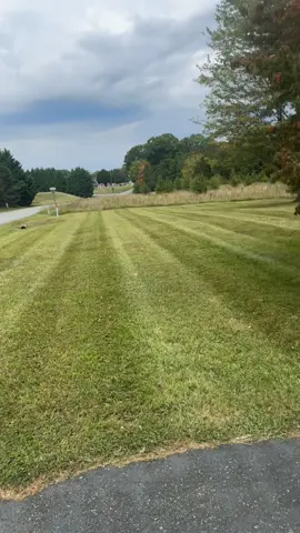 #fentysuperbrandday #LanguageLearning #owlside🦉 #lawncare #virginia 