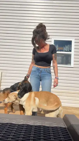 So much jealousy between these two  #germanshepherd #fentysuperbrandday 