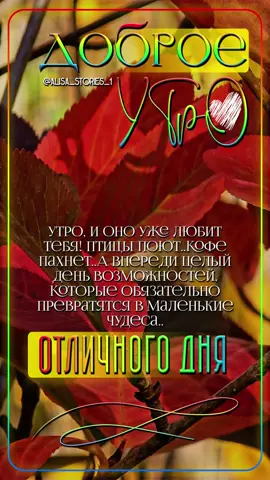 С добрым осенним утром друзья, пусть день сегодня радует просто замечательным🍁🤎🍂#доброеутросвежее #доброеутроновинки #доброеутропозитивчик #сдобрымутромновинки2025 #доброеутро2025свежее 
