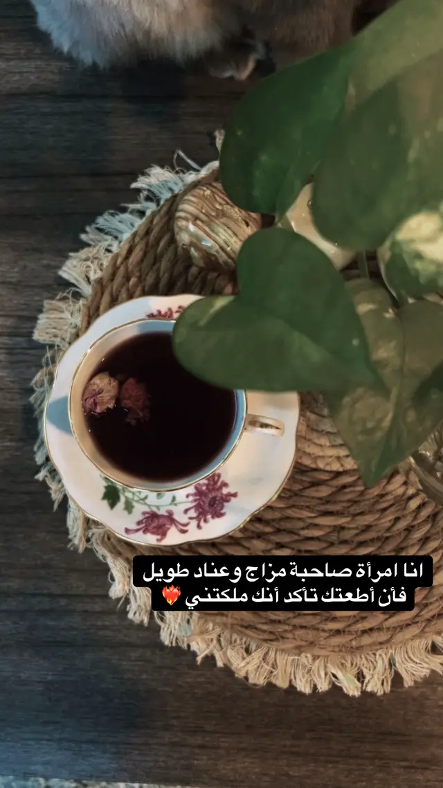 تأكد ❤️‍🔥🫰 #بغداد #ام_كلثوم #العراق #طرب #طربيات_الزمن_الجميل_🎼🎶🎻♥️🌹 