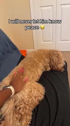 He never lets me know peace so I return the favor 😂
