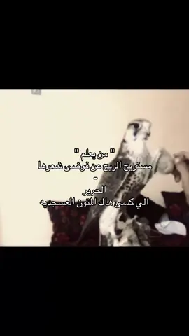 #foryoupage #B #طير #foryoupagе #b 