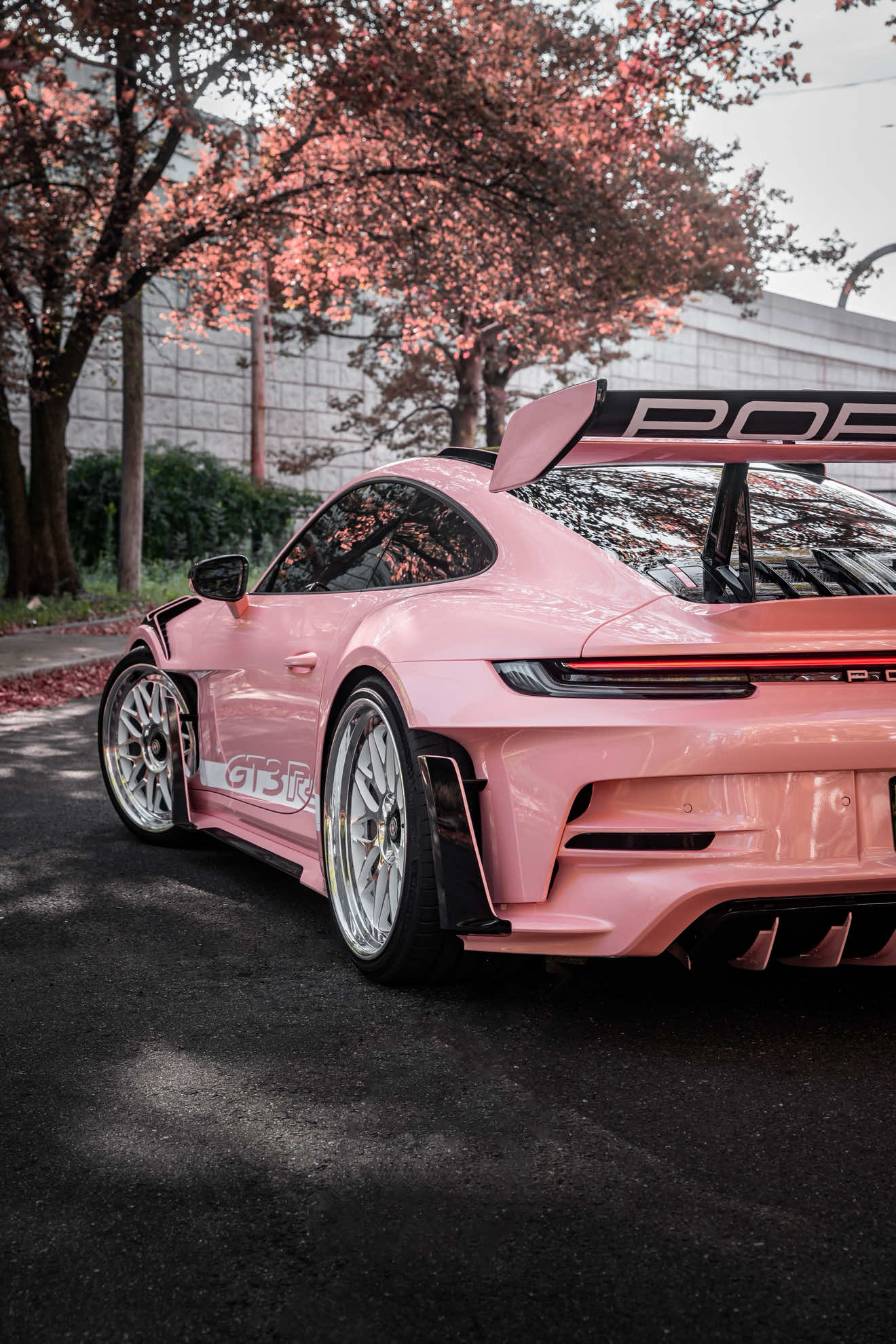 Princess Porsche👑 #fyp #cars #carsoftiktok #porsche #gt3rs 