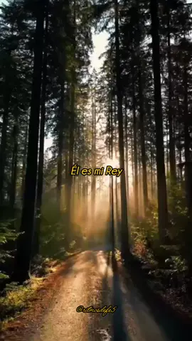 El es mi Rey #musicacristianatiktok  #alabanzas_cristianas  #diostebendiga  #alabanzasdehoy 