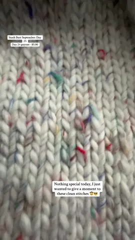 Stash Bust September: Day 25 - A moment to admire the stitches 😎 #knittok #stashbustseptember #knitblanket #knitstitch 