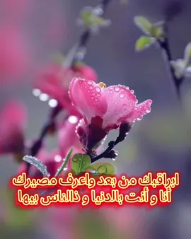 #الباحة #جدة #دويتو #ترند #اكسبلورر_explorer 
