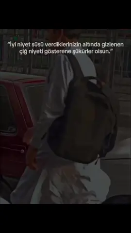 İyi niyet süsü verdiklerinizin altında gizlenen çiğ niyeti gösterene şüşükürler olsun ... 