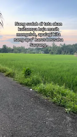 #Fyp #storybanjar #kandangan