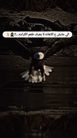 #عباراتكم_الفخمه📿📌 #حالات_واتس #foryou #لايك_متابعه_حركة_الاكسبلور❤🦋explorer #🥷👌 