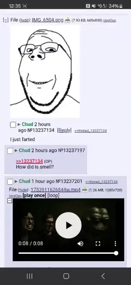 Ayo