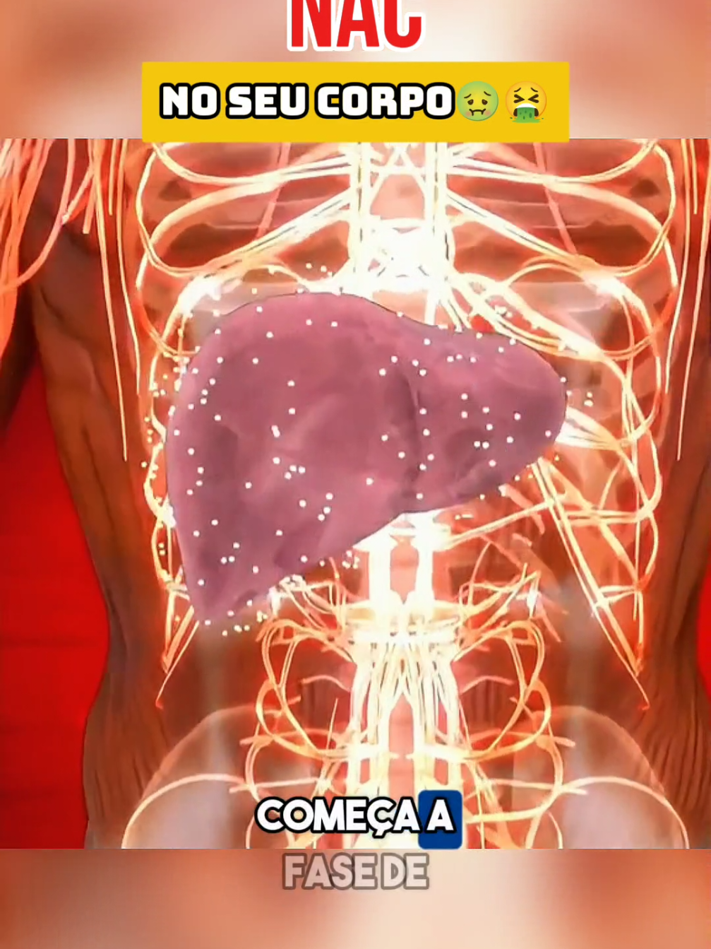 #nac #figado #saudeebemestar 