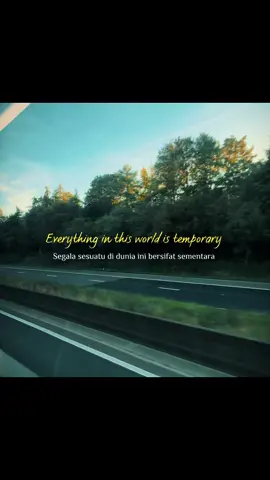 Everything is temporary.....!! @TikTok UK @LONDON @MrBeast @TikTok 