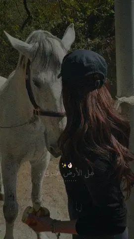 عشقت نفسي عن جميع الخلايق.👌🏻🤍✨#راشديةمطنوخة #خيل_وخياله🐎 #capcut #foryou #viralvide 