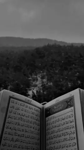 فَاجْعَلِ  اللَّهُمَّ صَباحِي هَذا نازلاً عَلَيَّ بِضِياءِ الهُدَى وَبِالسَّلَامَةِ فِي الدِّينِ وَالدُّنْيَا #دعاء_الصباح #اباذر_الحلوجي #دعاء #دعاء_يريح_القلوب #quran 