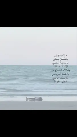 #tiktok #viraltiktok #foryoupage #اعادة_النشر🔃 #قصائد 