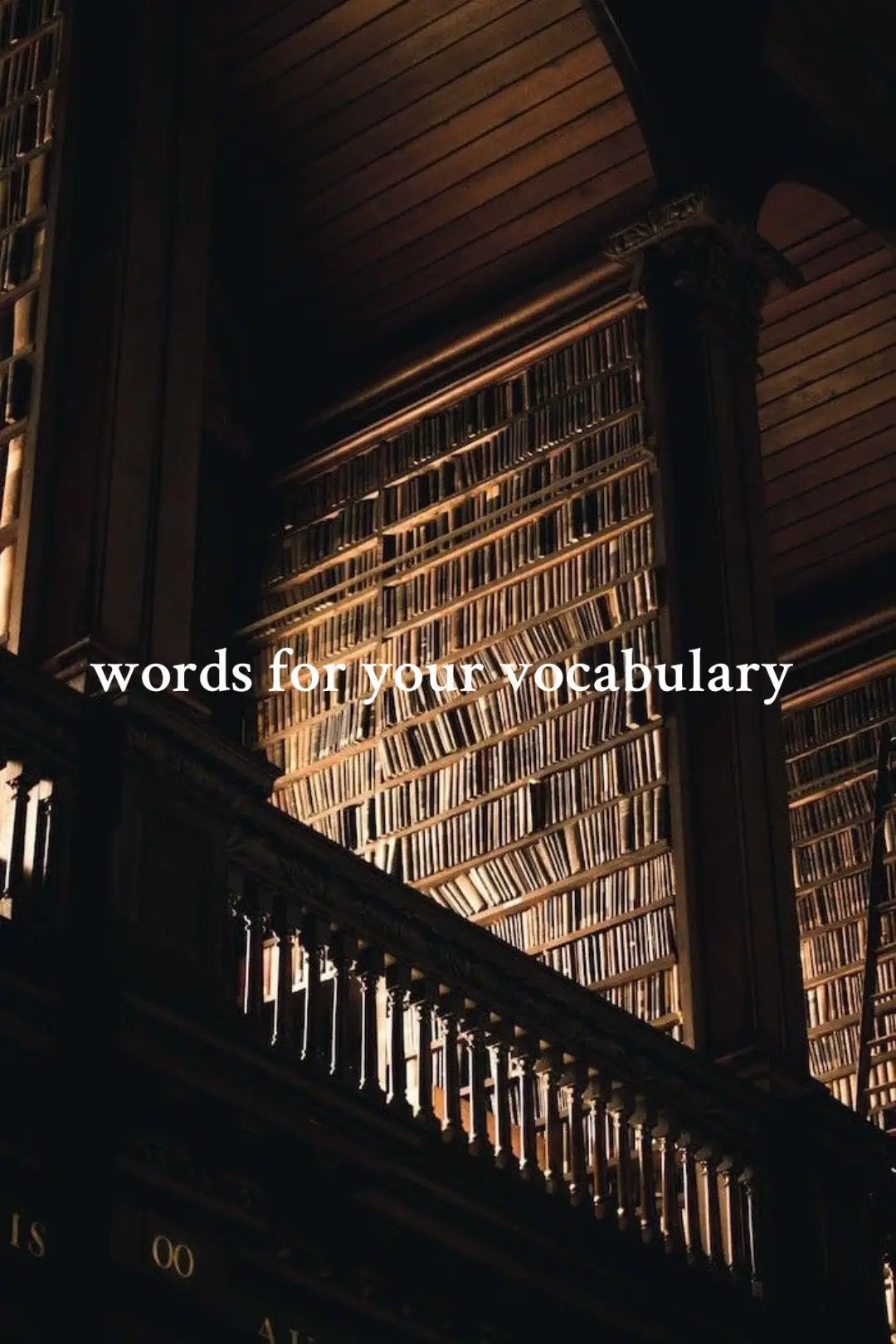 #vocabulary #literature #slideshow #foryoupage #learningwords 